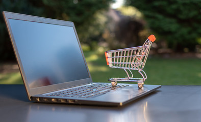 Concept of online grocery shopping. A miniature shopping cart is standing an a Notebook.