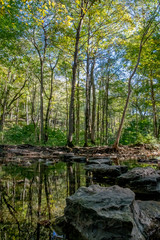Stepping Stones across Birch Creek in Glen Helen Nature Preserve by Yellow Springs, Ohio