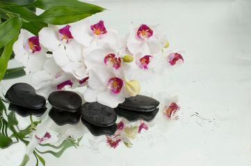 spa Background - orchids black stones and bamboo on water