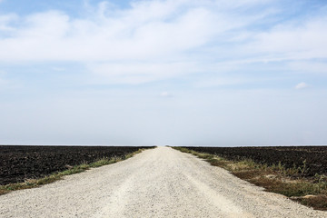 a dirt road is laid between the fields