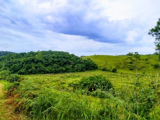 Horizonte imagens,paisagens.