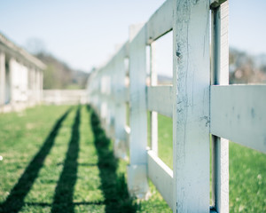 White Wooden Fence and Its Shadow
