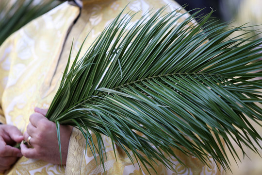 Romanian Orthodox priests during a Palm Sunday pilgrimage procession in Bucharest