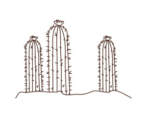 cactus in landscape isolated icon