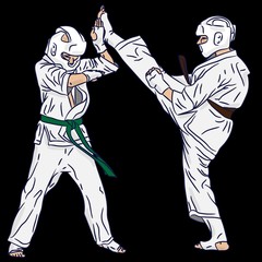 A couple of karate or taekwondo. Fight in vector action. Kick from 3d art.