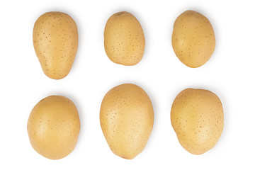 Young potato isolated on white background. Harvest new. Top view. Flat lay