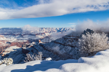 Obraz premium Grand Canyon in the morning, covered in snow. Blue sky and clouds; Edge of the South rim in the foreground, with bushes and snow.