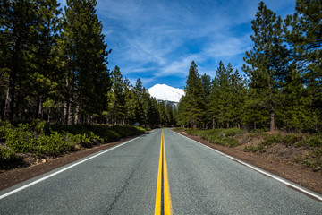 Road to Mount Shasta's trailheads in northern California.