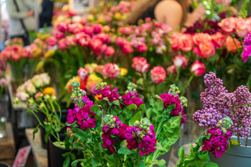 Fototapeta na wymiar Selected focus on group of blooming red, purple, pink and yellow small flowers in vase sell and show at the flower shop at outdoor market.