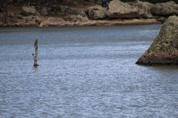 La Sierrra Tarahumara Chihuahua México 