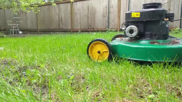 Mowing the grass in the back yard next to a fence on a spring day