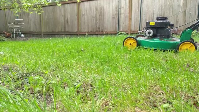 Mowing the grass in the back yard next to a fence on a spring day