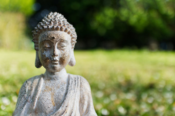 Buddha in grass