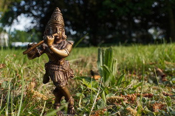 Krishna in grass