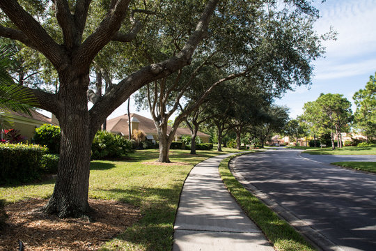 Quiet suberb street