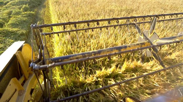 Combiner harvesting the rice field, close up of cutter blades