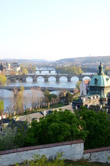 Fototapeta na wymiar Bridges of Prague in spring