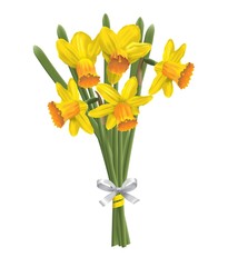 Bouquet of yellow daffodils (narcissus) isolated on white background.