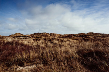 Sand dunes on the island of Amrum in spring