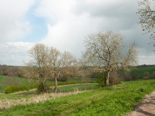 Beautiful outside country spring fields meadows trees sky farmland