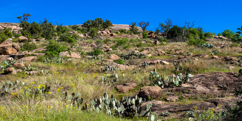 Enchanted Rock State Natural Area near Fredericksburg, Texas