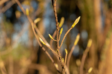 Göhren Rügen im April 2019