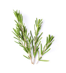 Rosemary isolated on white background, Top view.