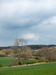 Beautiful outside country spring fields meadows trees sky farmland
