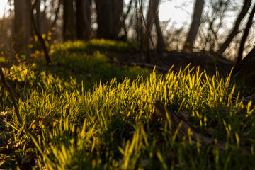 Göhren Rügen im April 2019