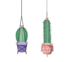 cactus on macrame hangers isolated icon