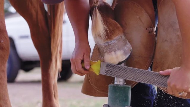 Slow motion of hoof shavings coming off while a female Farrier files horse's hoof, 23.98 fps, 4K.