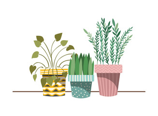 houseplants with potted isolated icon