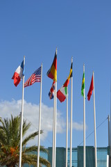 International Flags