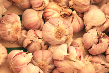 Fresh garlic on a market