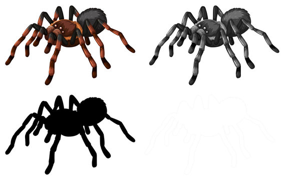 Set of spider character