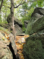 A rocky portion of the Appalachian trail