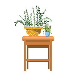 houseplants with potted on the table