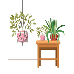 houseplants on macrame hangers and table