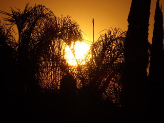 Atardecer