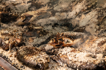 Grilling Salt Crusted Tilapia