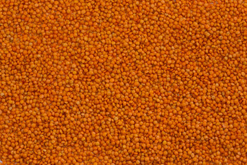 Red lentils pile