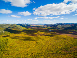 Aerial view of  forest in the far East, Russia
