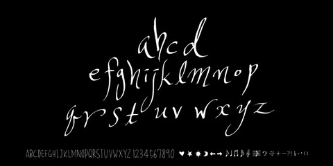 벡터 문자 / 손으로 쓴 글씨체