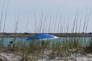 Umbrella Behind the Grass