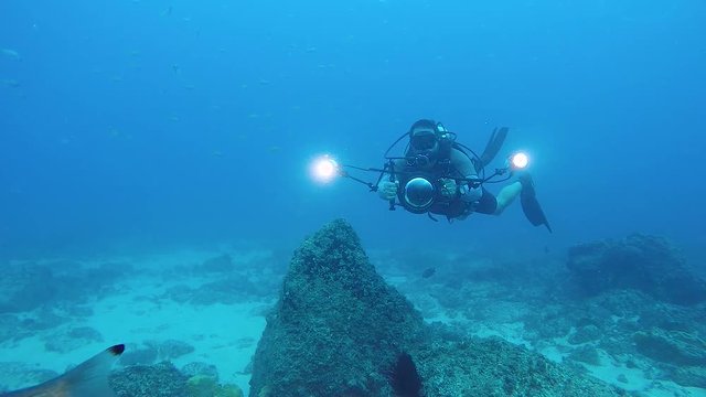 A slow-motion video of an underwater cameraman filming marine life in the ocean with underwater equipment and lights