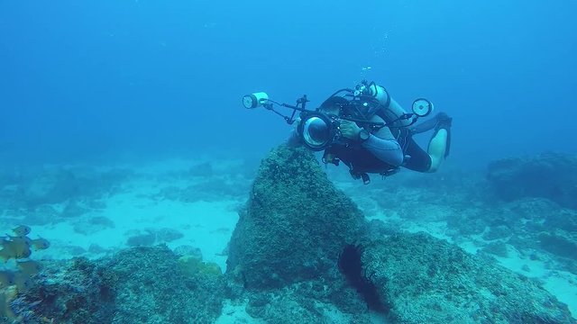 A video of an underwater cameraman taking photos in the ocean of marine life with underwater equipment and lights