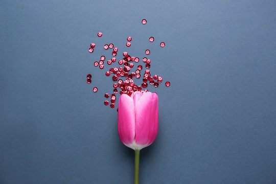 Tulip and red sequins on grey background. Menstruation concept