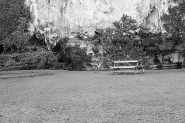 bench in park in winter