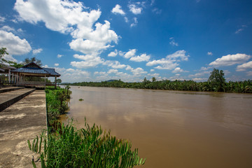 Fototapeta premium The background of the bright blue sky along the river, around the area with shore trees, mangrove forests surrounding, is the beauty of the ecological system in which people and animals live together.