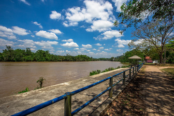 Fototapeta na wymiar The background of the bright blue sky along the river, around the area with shore trees, mangrove forests surrounding, is the beauty of the ecological system in which people and animals live together.